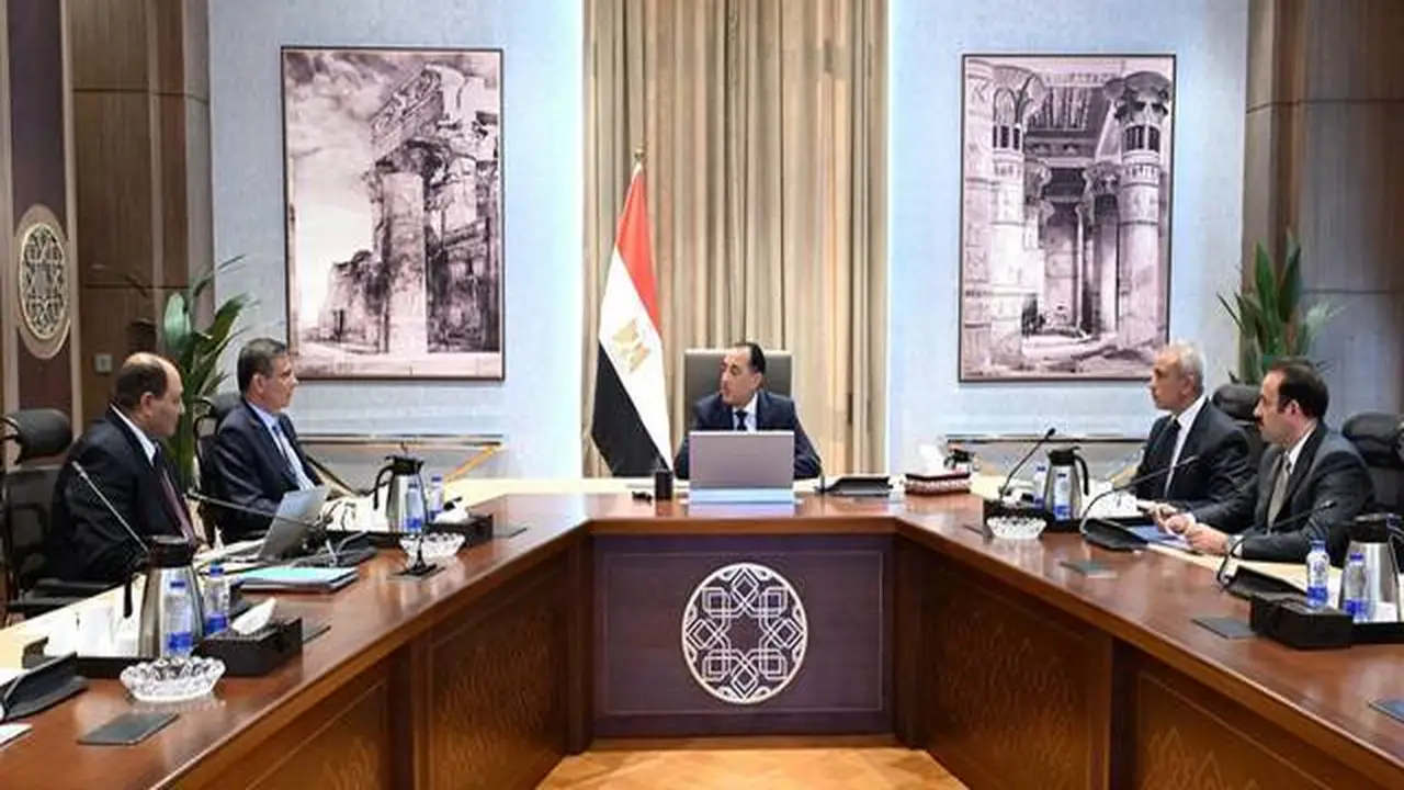 مصر تستعد لتوسيع محطات الثروة الحيوانية الحديثة لتعزيز الإنتاج.